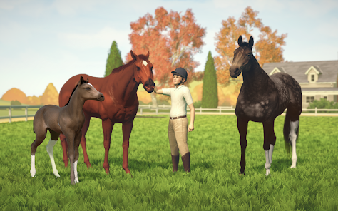 Screenshot 23