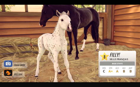 Screenshot 19