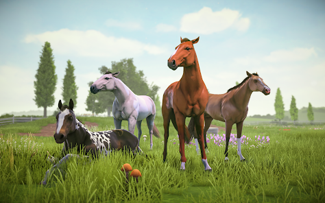 Screenshot 20