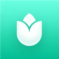 PlantIn: Plant Identifier